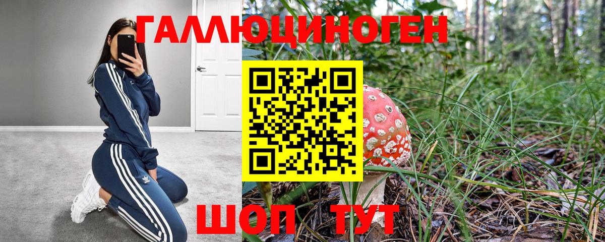Саров  цена   Вход с VPN  Галлюциногенные грибы Cubensis 